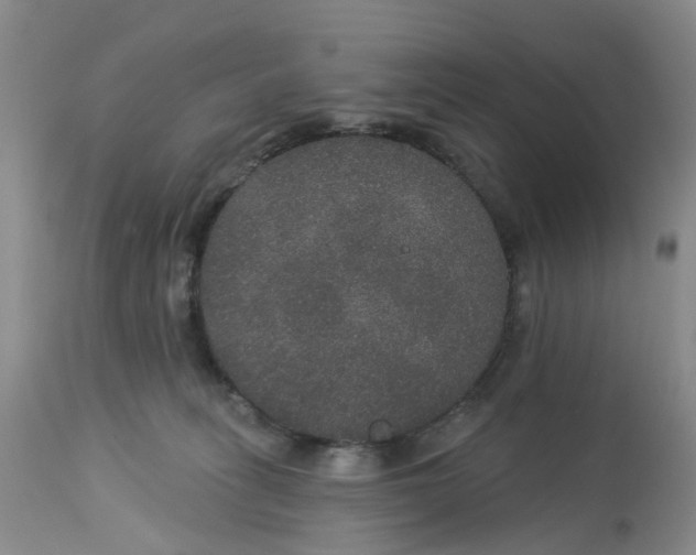 X0000113180275200909251449