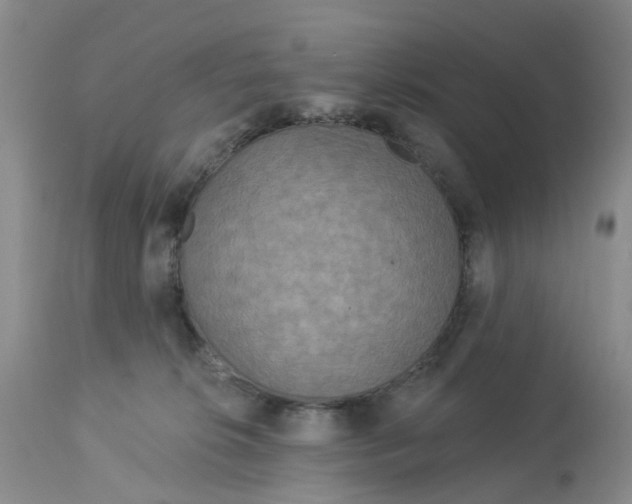 X0000113180276200909251449
