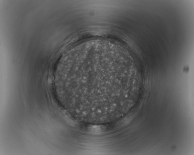 X0000113180277200909251449