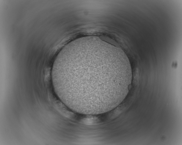 X0000113180278200909251449