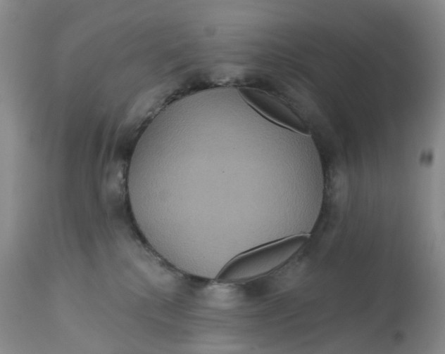 X0000113180280200909251449