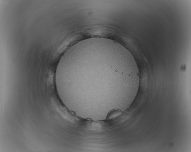 X0000113180282200909251449