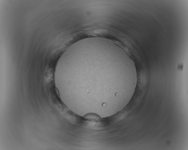 X0000113180284200909251449
