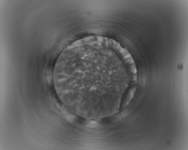 X0000113180285200909251449