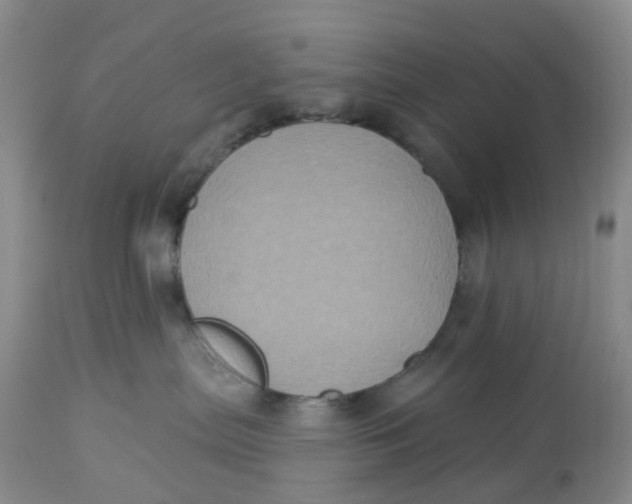 X0000113180287200909251449