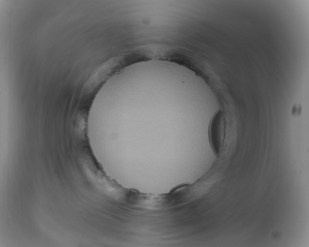 X0000113180288200909251449
