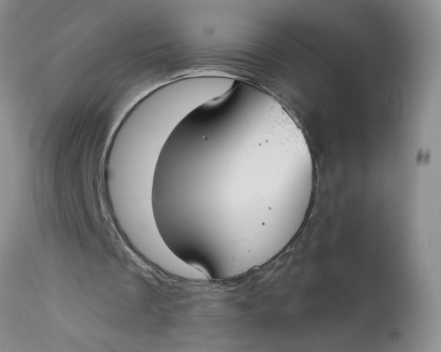 X0000113180289200909251449