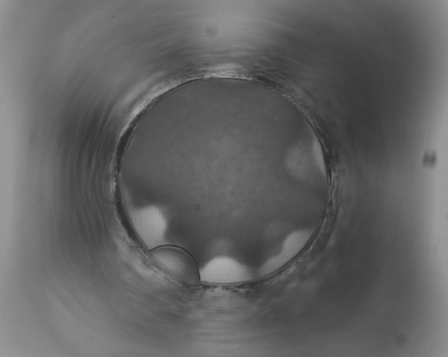 X0000113180290200909251449