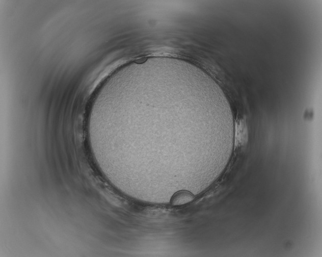 X0000113180291200909251449