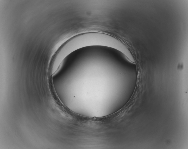 X0000113180292200909251448