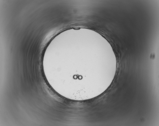 X0000113180293200909251448