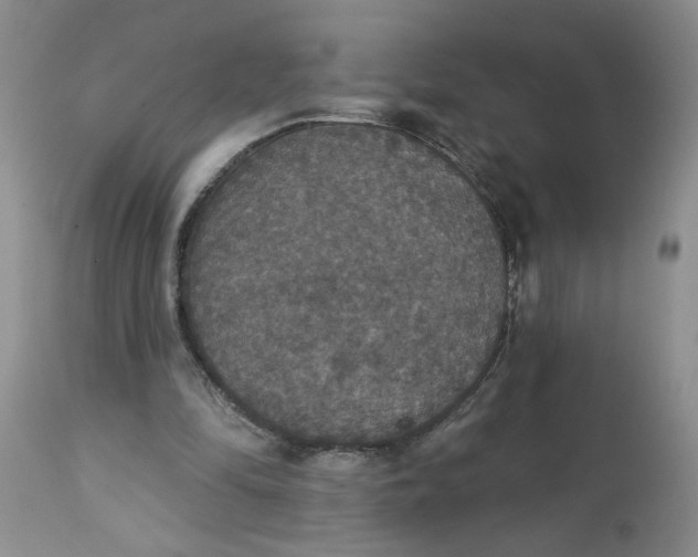 X0000113180294200909251448