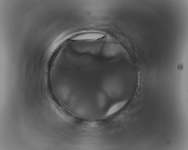 X0000113180295200909251448
