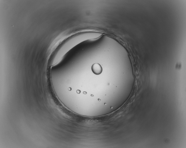 X0000113180296200909251448