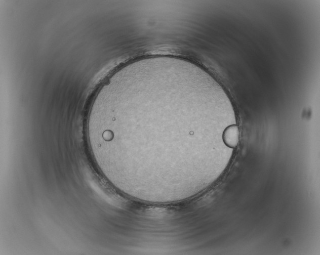 X0000113180298200909251448