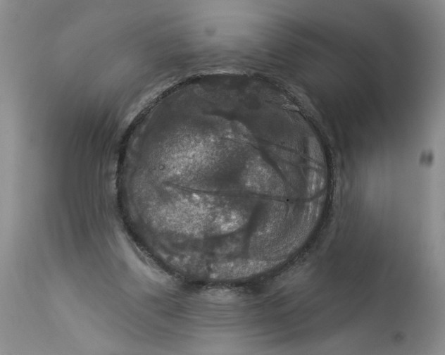 X0000113180299200909251448