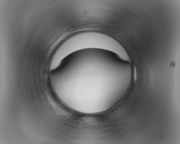 X0000113180300200909251448