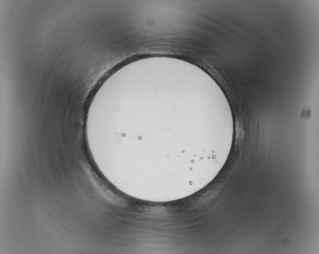 X0000113180301200909251448
