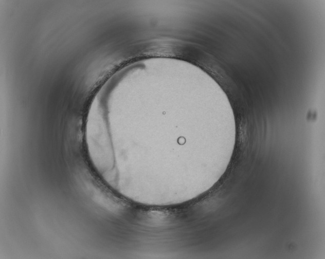 X0000113180302200909251448