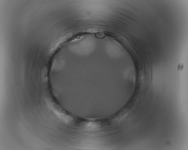 X0000113180303200909251448