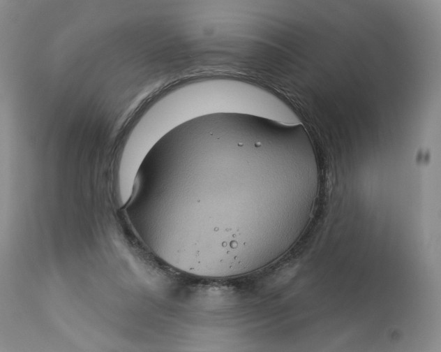 X0000113180304200909251448