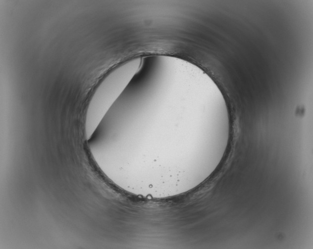 X0000113180305200909251448