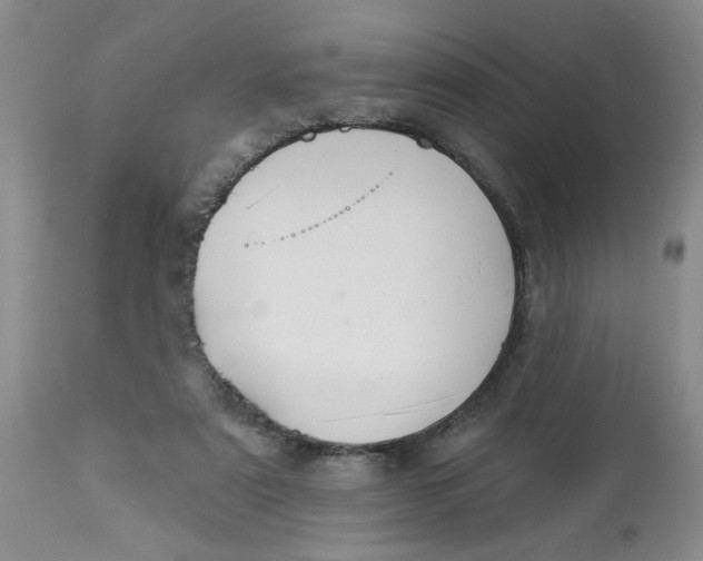 X0000113180307200909251448