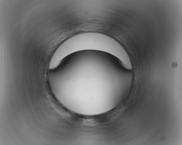 X0000113180309200909251448