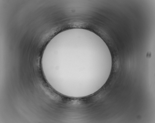 X0000113180310200909251448
