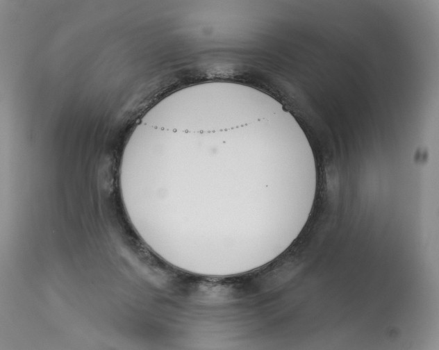 X0000113180311200909251448