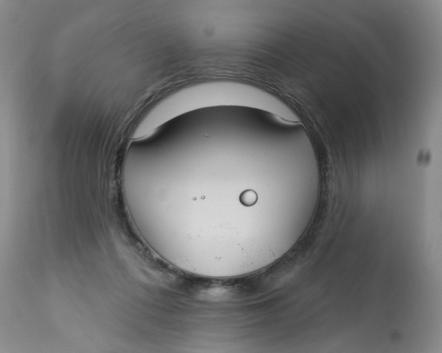 X0000113180312200909251448