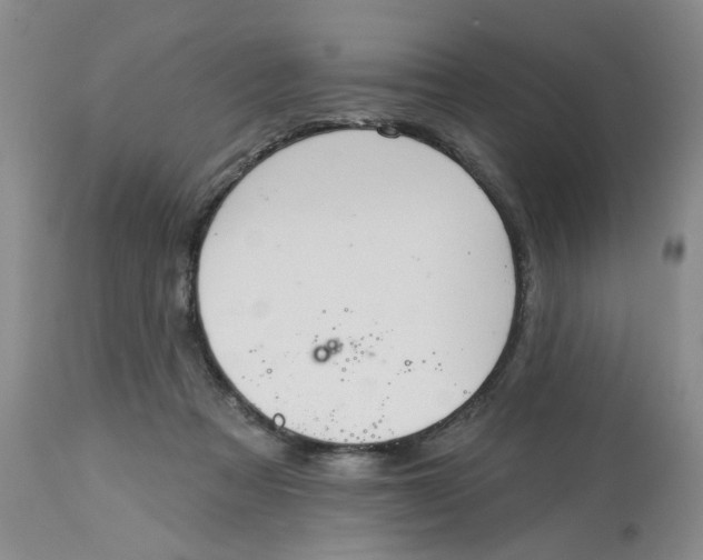 X0000113180313200909251448