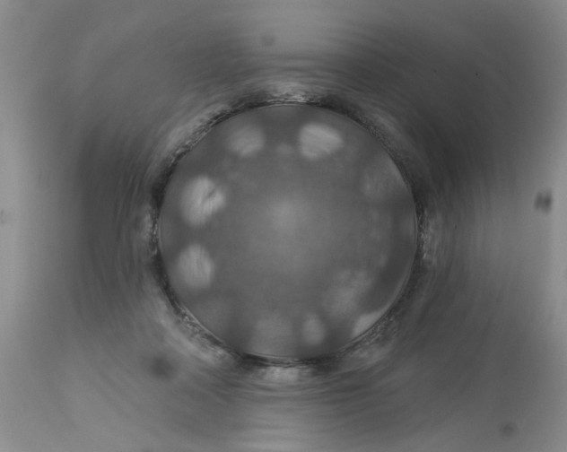 X0000113180314200909251448