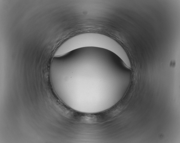 X0000113180317200909251448