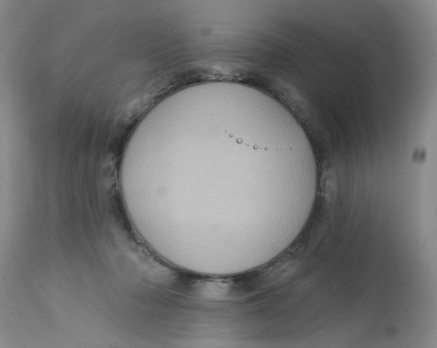 X0000113180318200909251448