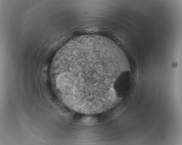 X0000113180319200909251448