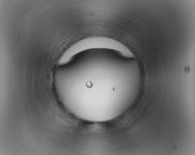 X0000113180320200909251448