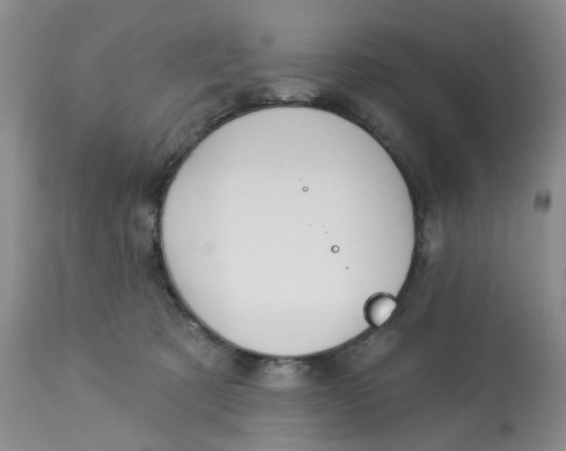 X0000113180321200909251448