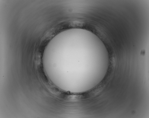 X0000113180323200909251448