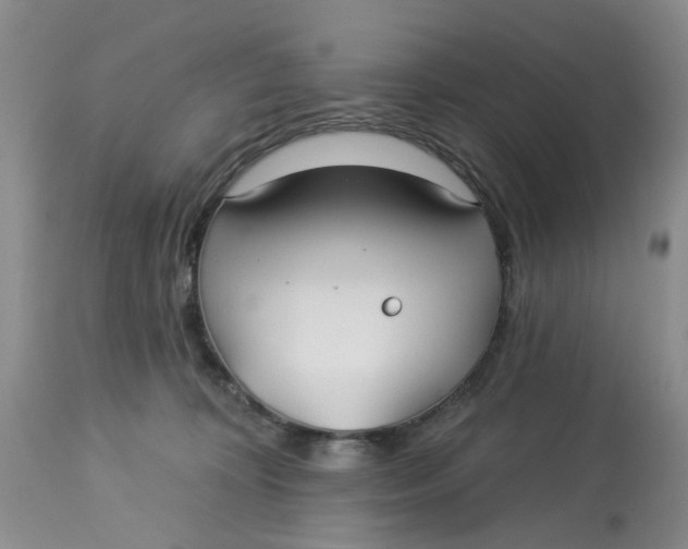 X0000113180324200909251448