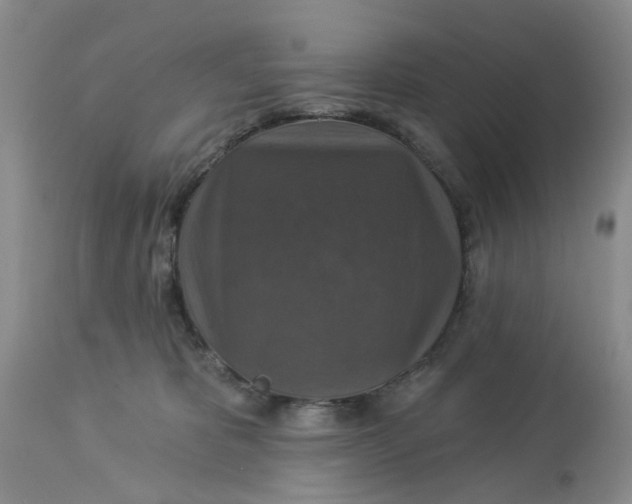 X0000113180325200909251448