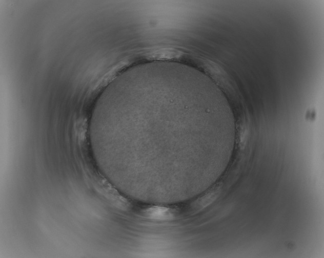 X0000113180326200909251448