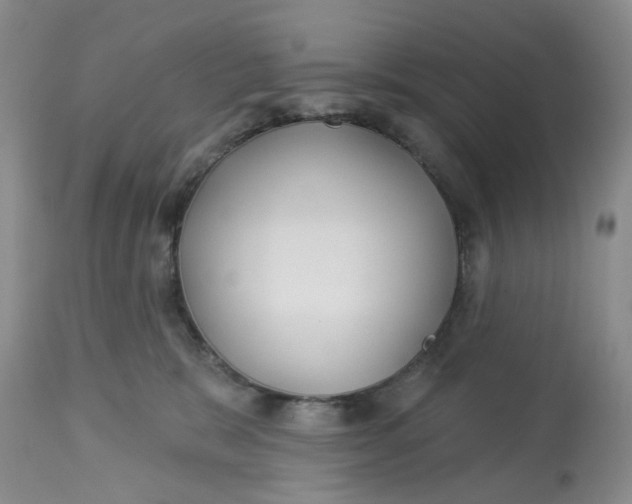 X0000113180327200909251448