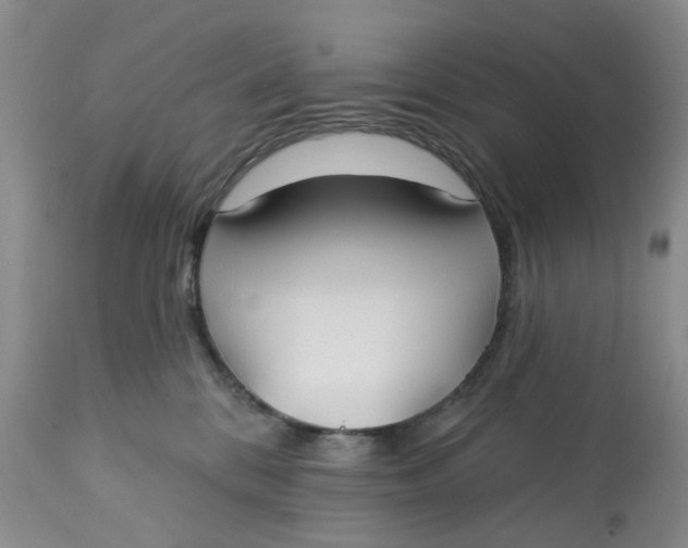 X0000113180328200909251448