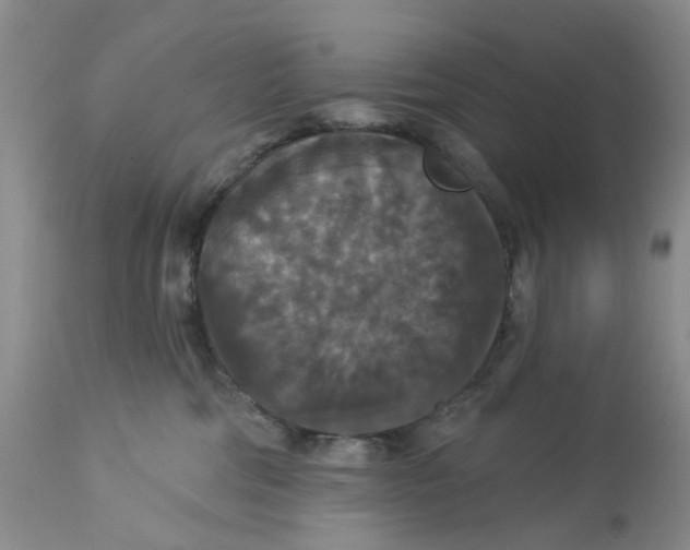 X0000113180330200909251448