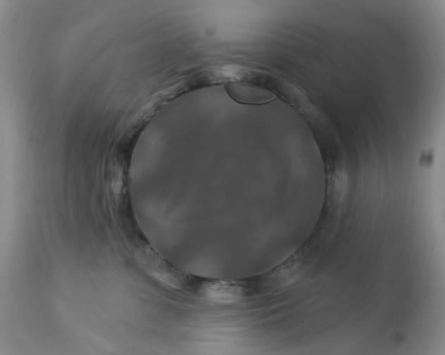 X0000113180331200909251448