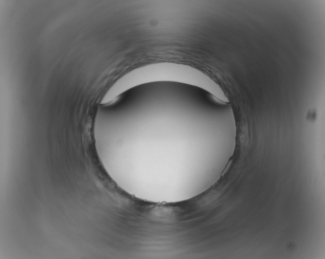 X0000113180332200909251448