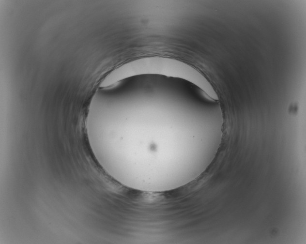 X0000113180333200909251448