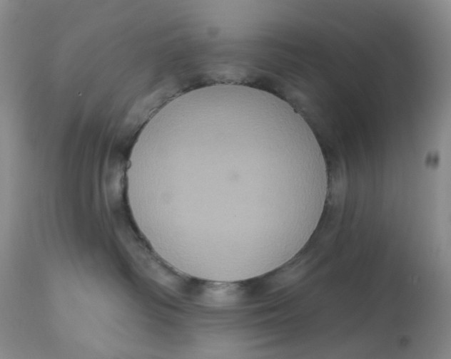 X0000113180334200909251448