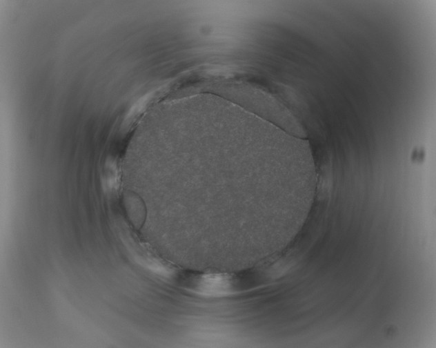 X0000113180335200909251448